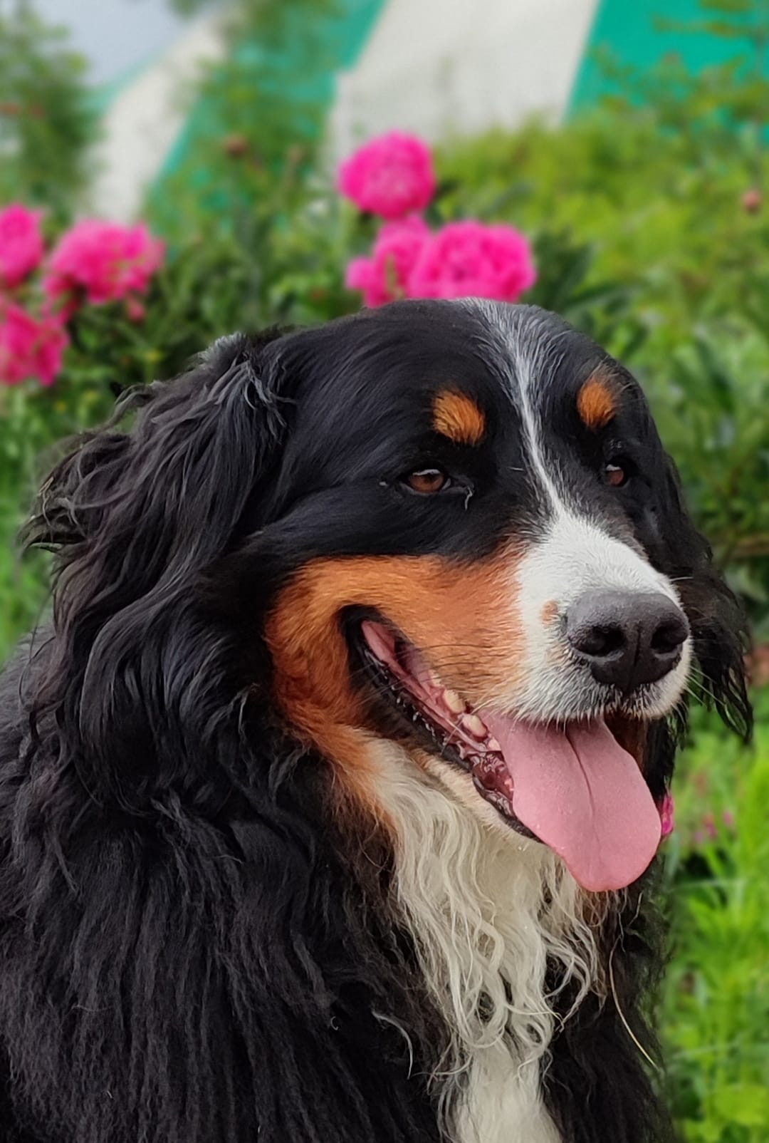 Xena